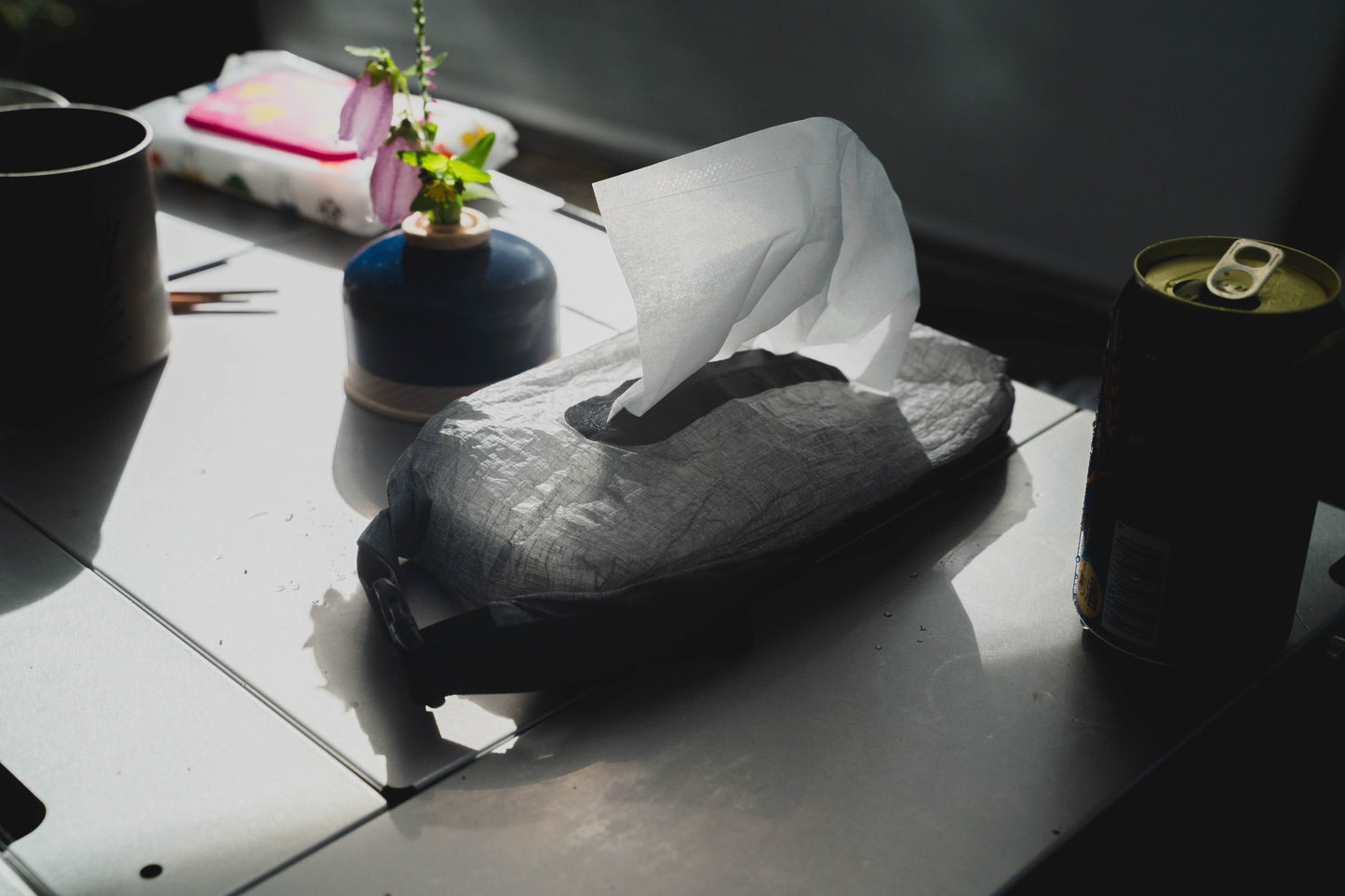 THE TISSUE CASE